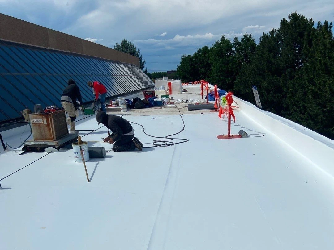 Commercial Roof